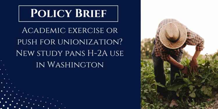 Academic exercise or push for unionization? New study pans H-2A use in Washington
