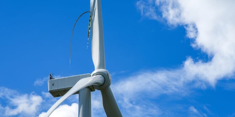 Renewable mandates face moment of truth in November – Mackinac Center