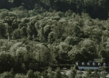 Take the Wilderness Road and You'll Find the Appalachian First Lady Who Fooled Washington