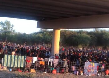The DSA’s plan for immigration is the worst one yet