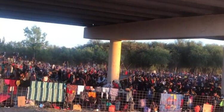 The DSA’s plan for immigration is the worst one yet