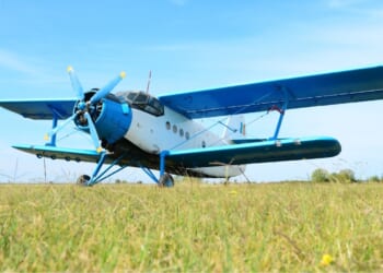 Yearning to Fly