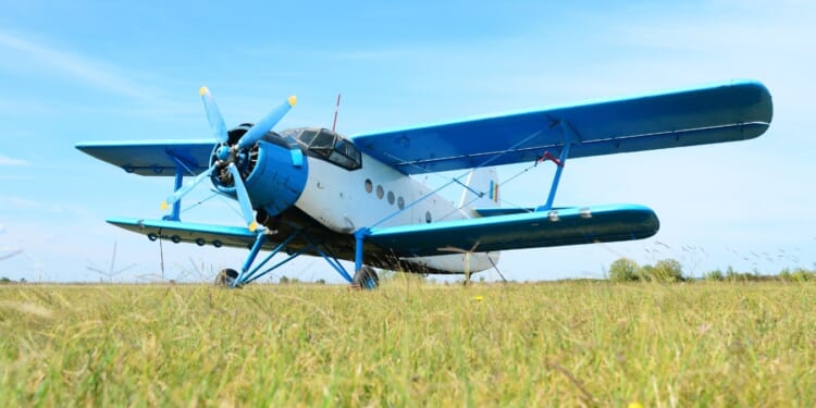 Yearning to Fly